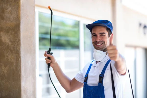 Victoria Wasp Removal