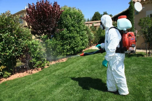 Bay City Mosquito Control