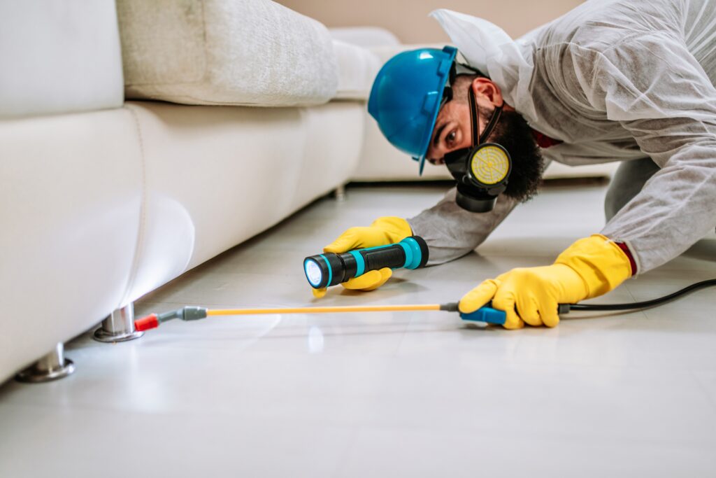 Beeville Termite Control