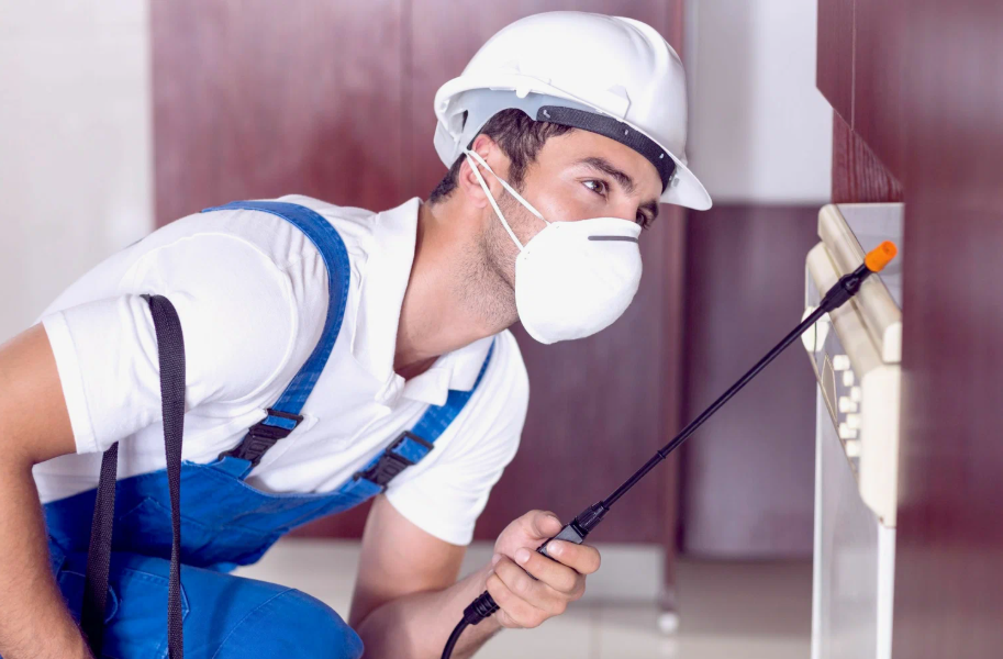 Yorktown local pest services