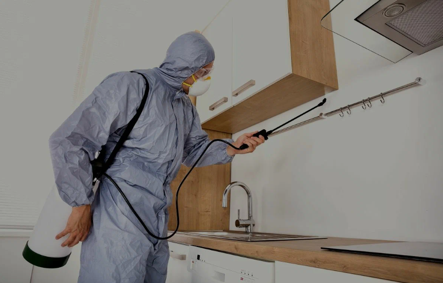 Inez pest managment